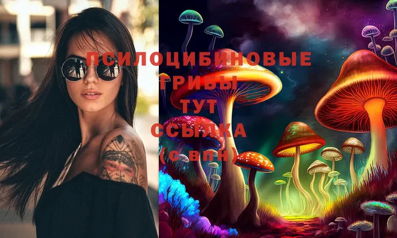 Галлюциногенные грибы Psilocybine cubensis  Щёкино 